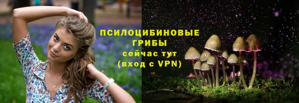 экстази Бородино
