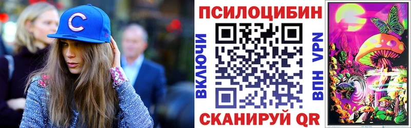 Псилоцибиновые грибы мицелий  купить наркотики цена  Высоцк 